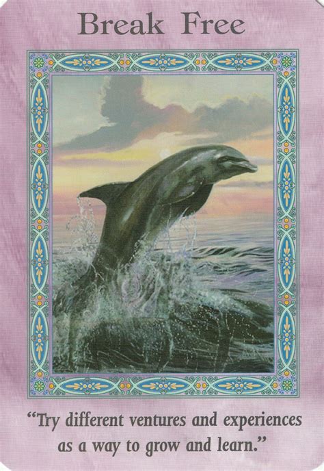 Mermaids, Dolphins, and Divine Messages: Connecting with Higher Wisdom through Oracle Cards